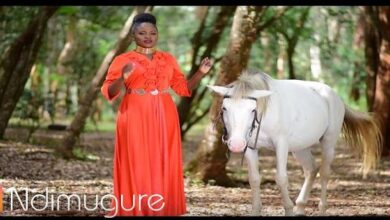 VIDEO: Hellen Muthoni Ft. Mercy Masika - Ndimugure (Mp4 Download) - KibaBoy