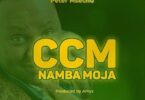 Audio: Peter Msechu – CCM Namba Moja (Mp3 Download) - KibaBoy