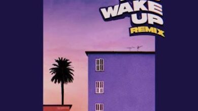 Audio: Adekunle Gold Ft Vanessa Mdee - Before You Wake Up Remix (Mp3 Download) - KibaBoy