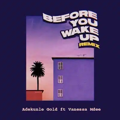 Audio: Adekunle Gold Ft Vanessa Mdee - Before You Wake Up Remix (Mp3 Download)