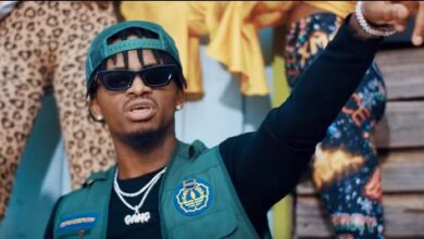 VIDEO: Diamond Platnumz - Kanyaga (Mp4 Download) - KibaBoy