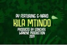 Audio: AY Ft G Nako - Kila Mtindo (Mp3 Download) - KibaBoy