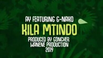 Audio: AY Ft G Nako - Kila Mtindo (Mp3 Download) - Kibaboy