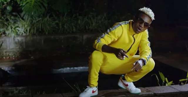 VIDEO | Mr Seed - Siwezi (Mp4 Download)