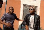 VIDEO: Msaga Sumu Ft Boka Junior - Maua (Mp4 Download) - KibaBoy