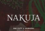 Audio: Zee Ft Hamadai - Nakuja (Mp3 Download) - KibaBoy