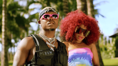 VIDEO: Harmonize X Sheebah - Follow Me (Mp4 Download) - KibaBoy