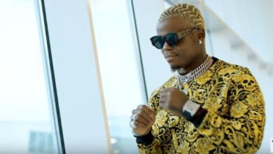 VIDEO: Harmonize - Magufuli (Mp4 Download) - KibaBoy