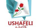 Audio: Wyse – Ushafeli (Mp3 Download) - KibaBoy