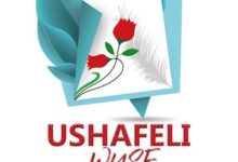 Audio: Wyse – Ushafeli (Mp3 Download) - KibaBoy