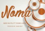 Audio: Nikki Wa Pili Ft Young Lunya – Kinoma (Mp3 Download) - KibaBoy