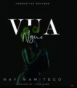 Audio: Nay Wa Mitego - Vua Nguo (Mp3 Download)
