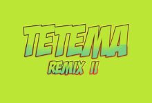 Audio: Rayvanny Ft Patoranking, Zlatan & Diamond Platnumz - Tetema Remix II (Mp3 Download) - KibaBoy