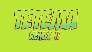 Audio: Rayvanny Ft Patoranking, Zlatan & Diamond Platnumz - Tetema Remix II (Mp3 Download) - KibaBoy