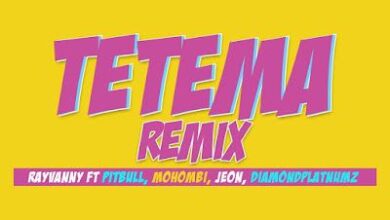 Audio: Rayvanny Ft Pitbull, Mohombi, Jeon & Diamond Platnumz - Tetema Remix (Mp3 Download) - KibaBoy