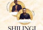 Audio: Mbosso Ft Reekado Banks - Shilingi (Mp3 Download) - KibaBoy