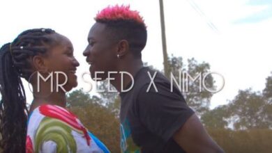 VIDEO: Mr Seed Ft Nimo - Superstar (Mp4 Download) - KibaBoy