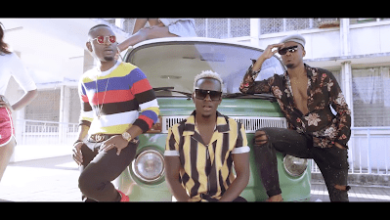 VIDEO: Willy Paul Ft Alikiba & Ommy Dimpoz - Nishikilie (Mp4 Download) - KibaBoy