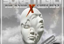 Audio: Bob Junior Ft Chidi Benz - Sura Mbili (Mp3 Download) - KibaBoy