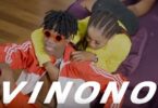 VIDEO: Bright Ft Young Killer - Vinono (Mp4 Download) - KibaBoy