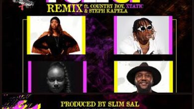 Audio: Frida Amani Ft. Country Wizzy, X Xtatic, Steph Kapela – Pull Up Remix (Mp3 Download) - KibaBoy