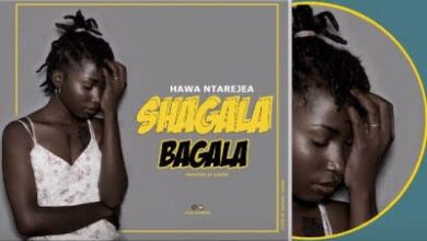 Audio: Hawa Ntarejea – Shagala Bagala (Mp3 Download) - KibaBoy