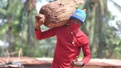 Audio: Kate Boy Ft. Chila Bway - Bado (Mp3 Download)