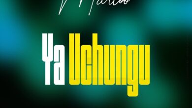 Audio: Marioo - Ya Uchungu (Mp3 Download) - KibaBoy