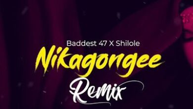 Audio: Baddest 47 x Shilole - Nikagongee Remix (Mp3 Download) - KibaBoy