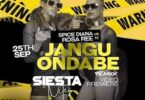 Audio: Spice Diana X Rosa Ree – Jangu Ondabe Remix (Mp3 Download) - KibaBoy