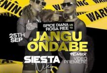 Audio: Spice Diana X Rosa Ree – Jangu Ondabe Remix (Mp3 Download) - KibaBoy