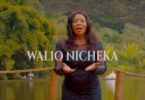 VIDEO: Rose Muhando X Ringtone – Walionicheka (Mp4 Download) - KibaBoy