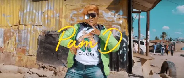 VIDEO: Pam D - Ndembe Ndembe (Mp4 Download)