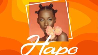 Audio: Lomodo Ft. Marioo - Hapo (Mp3 Download) - KibaBoy