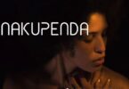 Audio: Mesen Selekta – Nakupenda (Mp3 Download) - KibaBoy