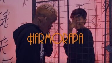 VIDEO: Harmorapa - Ajitokeze (Mr Kiki) (Mp4 Download) - KibaBoy