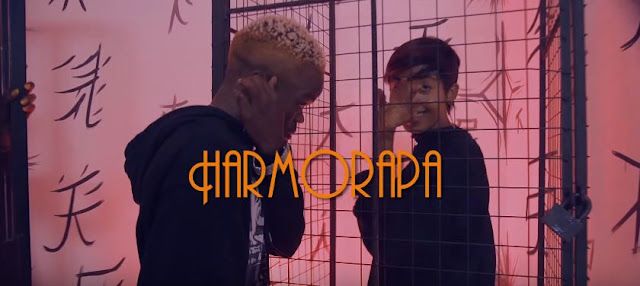 VIDEO: Harmorapa - Ajitokeze (Mr Kiki) (Mp4 Download) - KibaBoy