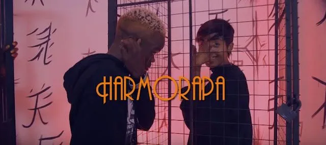 VIDEO: Harmorapa - Ajitokeze (Mr Kiki) (Mp4 Download)