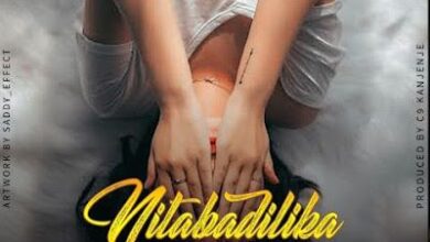 Audio: Mr Blue Ft. Aslay - Nimebadilika (Mp3 Download) - KibaBoy