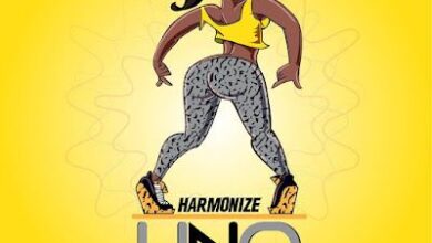 Audio: Harmonize - Uno (Mp3 Download) - KibaBoy