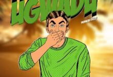 Audio: AT - Ugwadu (Mp3 Download) - KibaBoy