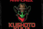 Audio: Harmonize - Kushoto Kulia (Mp3 Download) - KibaBoy