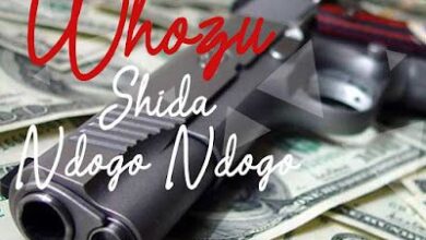 Audio: Whozu - Shida Ndogo Ngogo (Mp3 Download) - KibaBoy