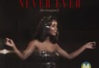 Audio: Vanessa Mdee Ft. Frederic Gassita - Never Ever (Re-imagined) (Mp3 Download) - KibaBoy