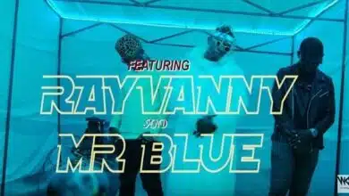 VIDEO: Nyandu Tozzy Ft Rayvannny & Mr Blue - Mawe (Mp4 Download)