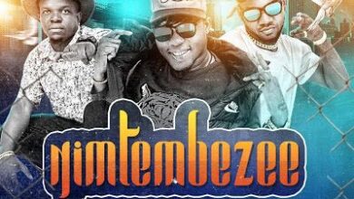 Audio: Tmk Wanaume Family Ft Tk Nendeze - Nimtembezee (Mp3 Download) - KibaBoy