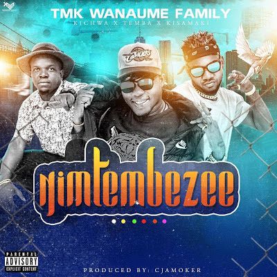 Audio: Tmk Wanaume Family Ft Tk Nendeze - Nimtembezee (Mp3 Download) - KibaBoy