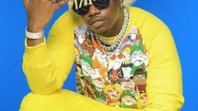 Audio: Rayvanny Ft. Busiswa & Baba Levo - Zipo (Mp3 Download)