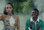 VIDEO: Tanasha Donna Ft. Mbosso - La Vie (Mp4 Download) - KibaBoy