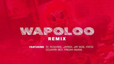 Audio: Weusi Ft. AY, Rosa Ree, Jay Rox, Jay Moe, Xtatic, Country Boy & Fridah Amani - Wapoloo Remix (Mp3 Download) - KibaBoy